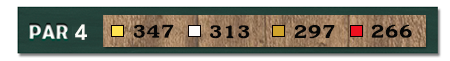 w06