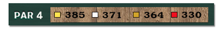 w14
